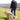 A person walks a golden retriever on a grassy hill overlooking a scenic landscape. The person has a blue collapsible bowl hanging from his belt.